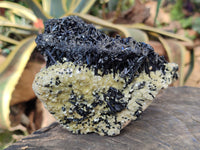 Natural Schorl Black Tourmaline with Vermiculite and Feldspar x 1 From Erongo, Namibia - Toprock Gemstones and Minerals