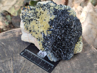 Natural Schorl Black Tourmaline with Vermiculite and Feldspar x 1 From Erongo, Namibia - Toprock Gemstones and Minerals