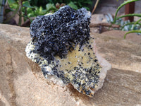 Natural Schorl Black Tourmaline with Vermiculite and Feldspar x 1 From Erongo, Namibia - Toprock Gemstones and Minerals