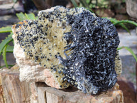 Natural Schorl Black Tourmaline with Vermiculite and Feldspar x 1 From Erongo, Namibia - Toprock Gemstones and Minerals
