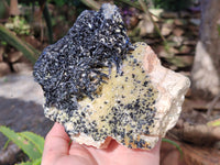 Natural Schorl Black Tourmaline with Vermiculite and Feldspar x 1 From Erongo, Namibia - Toprock Gemstones and Minerals
