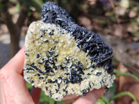 Natural Schorl Black Tourmaline with Vermiculite and Feldspar x 1 From Erongo, Namibia - Toprock Gemstones and Minerals