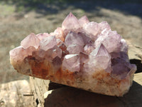 Natural Cactus Flower Smokey Amethyst Spirit Clusters x 3 From South Africa - Toprock Gemstones and Minerals