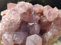 Natural Cactus Flower Smokey Amethyst Spirit Clusters x 3 From South Africa - Toprock Gemstones and Minerals