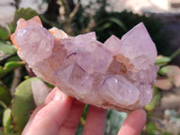 Natural Cactus Flower Smokey Amethyst Spirit Clusters x 3 From South Africa - Toprock Gemstones and Minerals