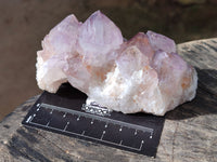 Natural Cactus Flower Smokey Amethyst Spirit Clusters x 3 From South Africa - Toprock Gemstones and Minerals