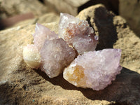 Natural Ametrine Spirit Quartz Crystals x 35 From Boekenhouthoek, South Africa - Toprock Gemstones and Minerals