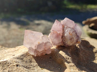 Natural Ametrine Spirit Quartz Crystals x 35 From Boekenhouthoek, South Africa - Toprock Gemstones and Minerals