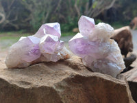 Natural Jacaranda Amethyst Quartz Clusters x 6 From Mumbwa, Zambia - Toprock Gemstones and Minerals