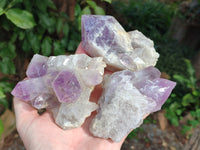 Natural Jacaranda Amethyst Quartz Clusters x 6 From Mumbwa, Zambia - Toprock Gemstones and Minerals
