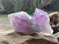 Natural Jacaranda Amethyst Quartz Clusters x 6 From Mumbwa, Zambia - Toprock Gemstones and Minerals
