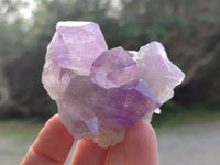 Natural Jacaranda Amethyst Quartz Clusters x 6 From Mumbwa, Zambia - Toprock Gemstones and Minerals