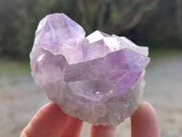 Natural Jacaranda Amethyst Quartz Clusters x 6 From Mumbwa, Zambia - Toprock Gemstones and Minerals