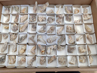 Natural Fairy Spirit Quartz Crystals x 35 From Boekenhouthoek, South Africa - Toprock Gemstones and Minerals