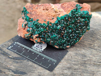 Natural Dioptase On Dolomite Specimen x 1 From Likasi, Congo - Toprock Gemstones and Minerals