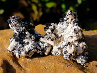 Natural Schorl Black Tourmaline with Hyalite Opal x 20 From Erongo, Namibia - Toprock Gemstones and Minerals
