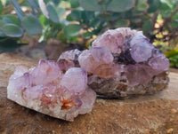 Natural Cactus Flower Smokey Amethyst Spirit Clusters x 3 From South Africa - Toprock Gemstones and Minerals