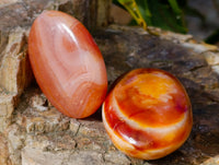 Polished Carnelian Palm Stones x 35 From Madagascar - Toprock Gemstones and Minerals