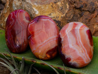 Polished Carnelian Palm Stones x 35 From Madagascar - Toprock Gemstones and Minerals