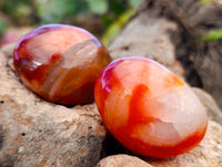 Polished Carnelian Palm Stones x 35 From Madagascar - Toprock Gemstones and Minerals