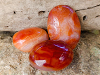 Polished Carnelian Palm Stones x 35 From Madagascar - Toprock Gemstones and Minerals