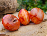 Polished Carnelian Palm Stones x 35 From Madagascar - Toprock Gemstones and Minerals