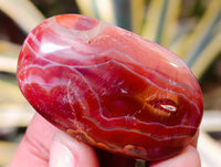 Polished Carnelian Palm Stones x 35 From Madagascar - Toprock Gemstones and Minerals