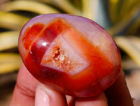 Polished Carnelian Palm Stones x 35 From Madagascar - Toprock Gemstones and Minerals