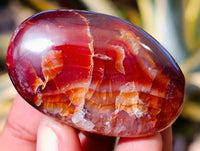 Polished Carnelian Palm Stones x 35 From Madagascar - Toprock Gemstones and Minerals