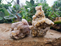 Natural Ametrine Spirit Quartz Clusters x 6 From Boekenhouthoek, South Africa - Toprock Gemstones and Minerals