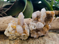 Natural Ametrine Spirit Quartz Clusters x 6 From Boekenhouthoek, South Africa - Toprock Gemstones and Minerals