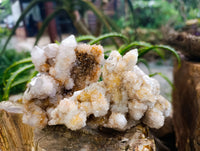 Natural Ametrine Spirit Quartz Clusters x 6 From Boekenhouthoek, South Africa - Toprock Gemstones and Minerals