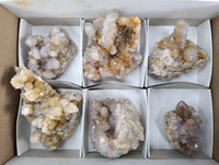 Natural Ametrine Spirit Quartz Clusters x 6 From Boekenhouthoek, South Africa - Toprock Gemstones and Minerals