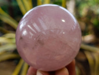 Polished Star Rose Quartz Spheres x 4 From Ambatondrazaka, Madagascar - Toprock Gemstones and Minerals