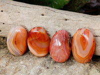 Polished Carnelian Palm Stones x 35 From Madagascar - Toprock Gemstones and Minerals