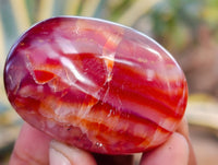 Polished Carnelian Palm Stones x 35 From Madagascar - Toprock Gemstones and Minerals