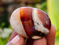 Polished Carnelian Palm Stones x 35 From Madagascar - Toprock Gemstones and Minerals