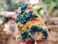 Natural Dioptase with Shattuckite On Dolomite Specimens x 3 From Likasi, Congo - Toprock Gemstones and Minerals