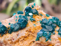 Natural Dioptase with Shattuckite On Dolomite Specimens x 3 From Likasi, Congo - Toprock Gemstones and Minerals