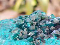 Natural Dioptase with Shattuckite On Dolomite Specimens x 3 From Likasi, Congo - Toprock Gemstones and Minerals