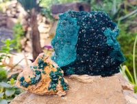 Natural Dioptase with Shattuckite On Dolomite Specimens x 3 From Likasi, Congo - Toprock Gemstones and Minerals