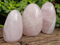 Polished Rose Quartz Standing Free Forms x 3 From Ambatondrazaka, Madagascar - Toprock Gemstones and Minerals