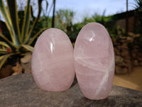 Polished Rose Quartz Standing Free Forms x 3 From Ambatondrazaka, Madagascar - Toprock Gemstones and Minerals