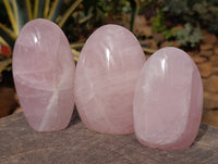 Polished Rose Quartz Standing Free Forms x 3 From Ambatondrazaka, Madagascar - Toprock Gemstones and Minerals
