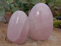 Polished Rose Quartz Standing Free Forms x 3 From Ambatondrazaka, Madagascar - Toprock Gemstones and Minerals
