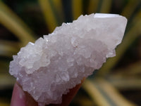 Natural Mixed Spirit Quartz Crystals x 35 From Boekenhouthoek, South Africa - Toprock Gemstones and Minerals