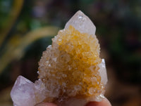 Natural Mixed Spirit Quartz Crystals x 35 From Boekenhouthoek, South Africa - Toprock Gemstones and Minerals