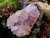 Natural Cactus Flower Smokey Amethyst Spirit Clusters x 2 From South Africa - Toprock Gemstones and Minerals