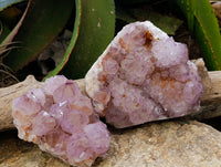 Natural Cactus Flower Smokey Amethyst Spirit Clusters x 2 From South Africa - Toprock Gemstones and Minerals