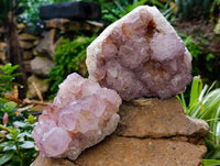 Natural Cactus Flower Smokey Amethyst Spirit Clusters x 2 From South Africa - Toprock Gemstones and Minerals